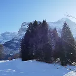 아파트 Blaugletscher By Interhome 그린델발트
