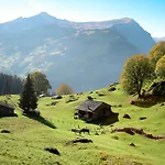 Blaugletscher By Interhome