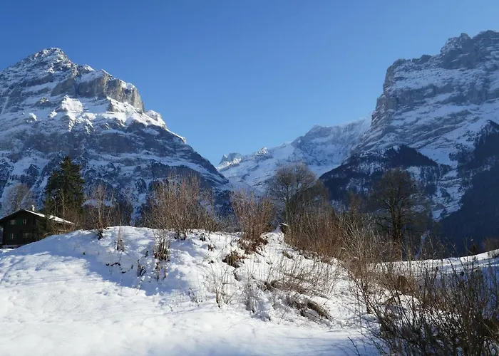 Blaugletscher By Interhome شقة جريندلوالد