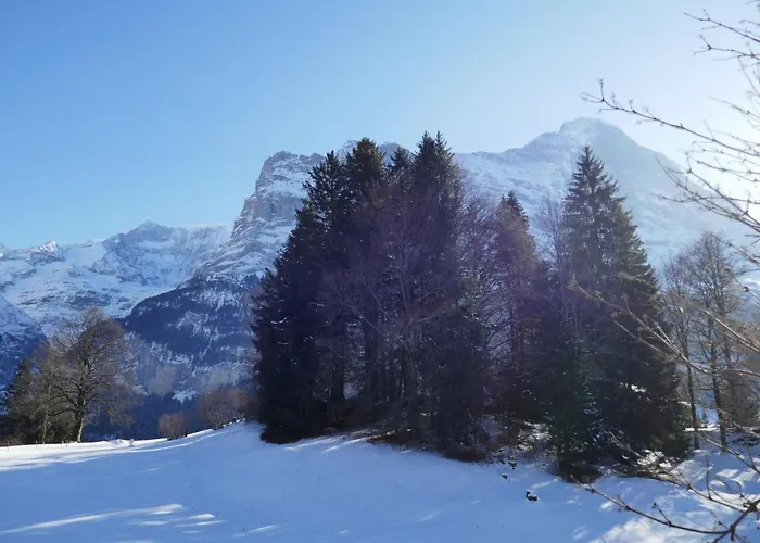 شقة Blaugletscher By Interhome جريندلوالد