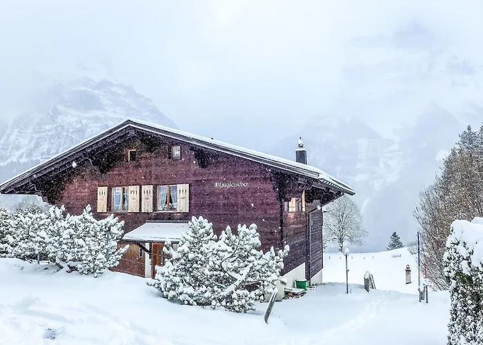 Blaugletscher By Interhome