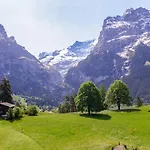 Blaugletscher By Interhome Lejlighed