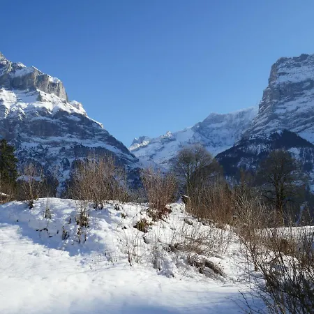 Blaugletscher By Interhome شقة جريندلوالد