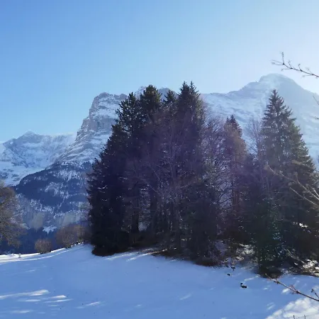 شقة Blaugletscher By Interhome جريندلوالد