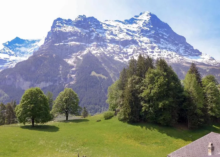 Blaugletscher By Interhome * Grindelwald